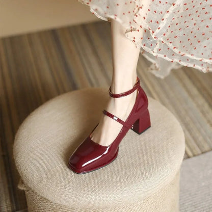 Women's Mary Jane Shoes – Block Heel Double Strap Pumps