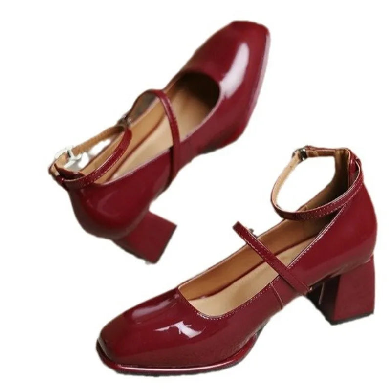 Women's Mary Jane Shoes – Block Heel Double Strap Pumps